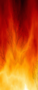 verità difficili da digerire