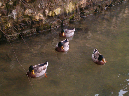 Piccole onde ©2005 by O.G.