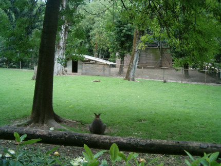 Sherwood's Charming Tale ©2005 by O.G.